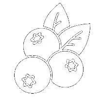 Заготовка ягод