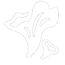 Заготовка грибов