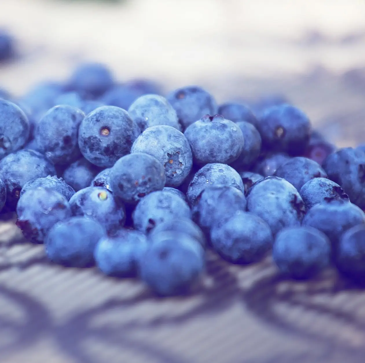 Заготовка ягод